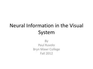 Neural Information in the Visual System