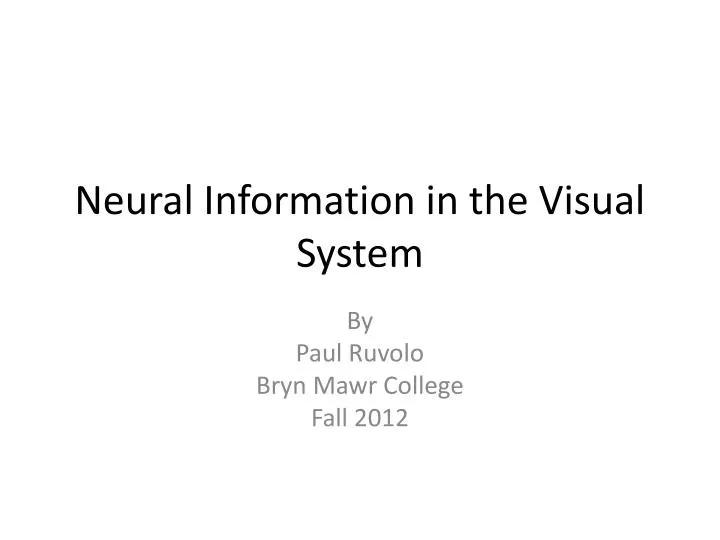 neural information in the visual system