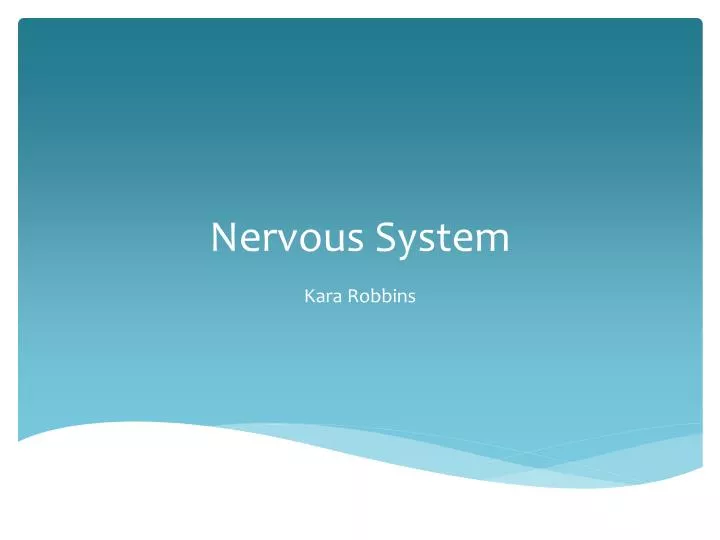 nervous system