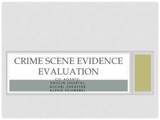 Crime Scene Evidence Evaluation