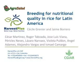 Breeding for nutritional quality in rice for Latin America