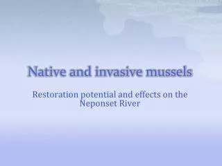 Native and invasive mussels