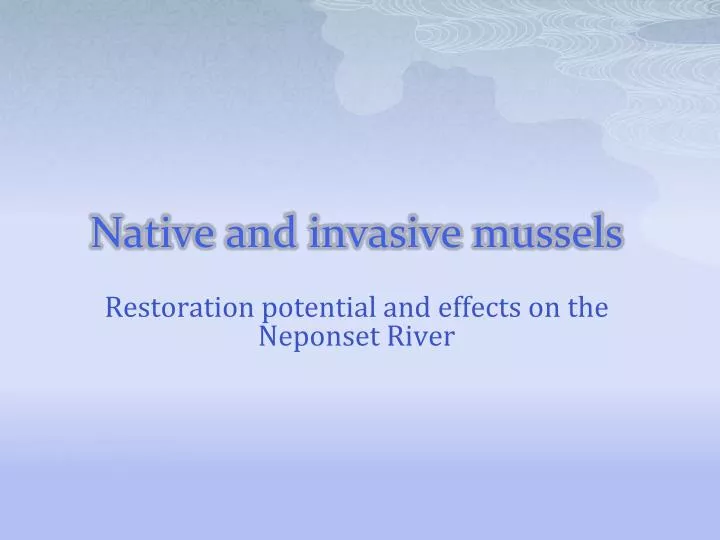 native and invasive mussels