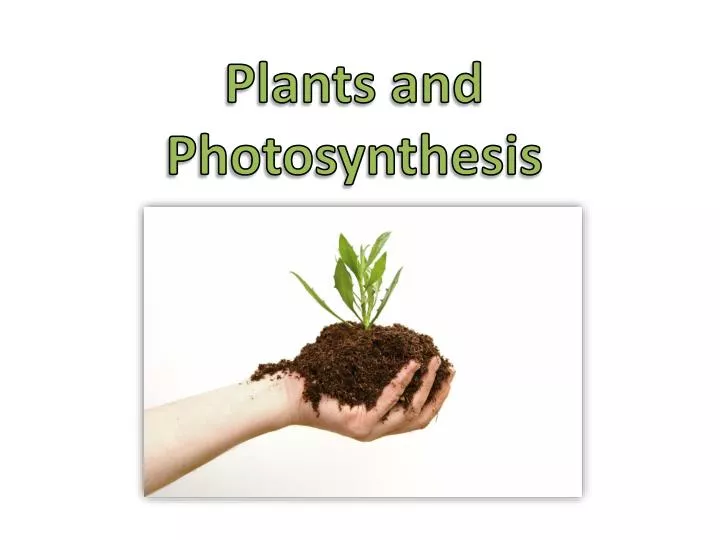 plants and photosynthesis