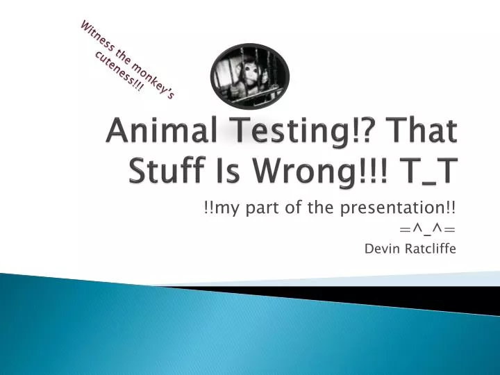 animal testing that stuff is wrong t t