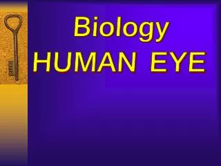Biology HUMAN EYE