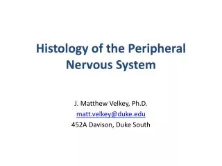 Histology of the Peripheral Nervous System