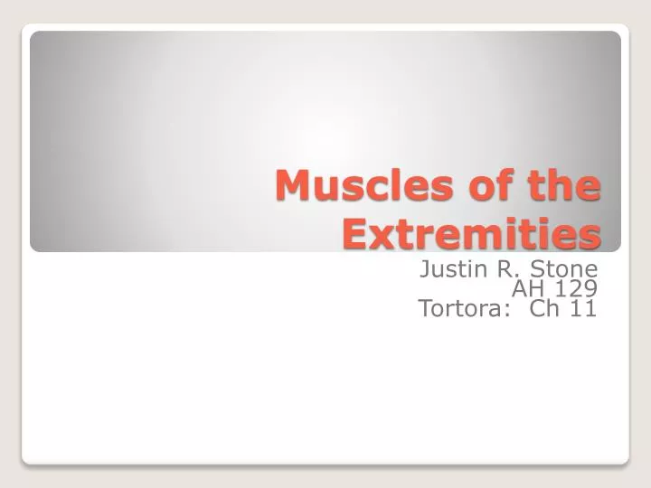 muscles of the extremities
