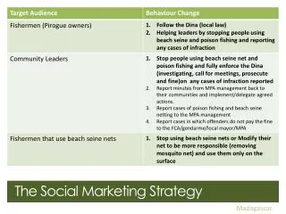 The Social Marketing Strategy