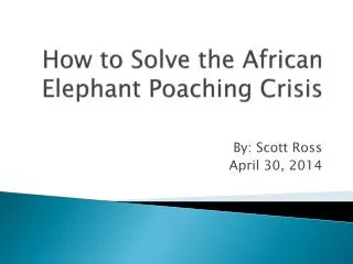 How to Solve the African Elephant Poaching Crisis