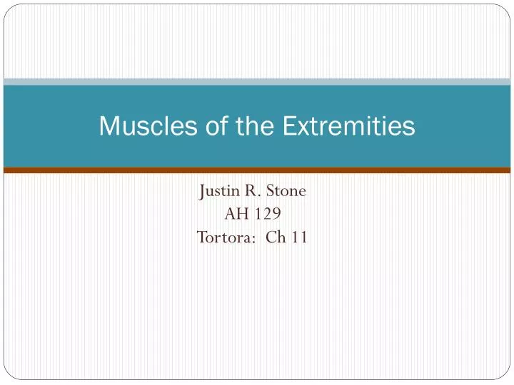 muscles of the extremities