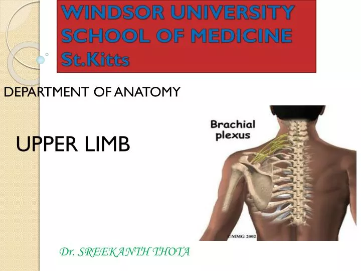 windsor university school of medicine st kitts
