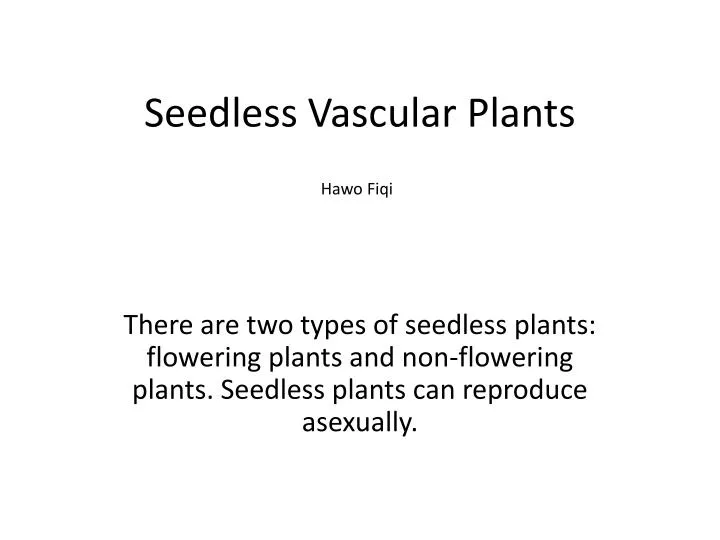 seedless vascular plants