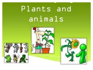 Classifying Plants and animals
