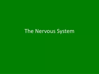 The Nervous System