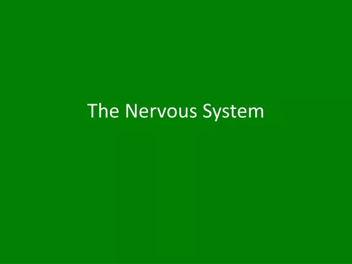 the nervous system