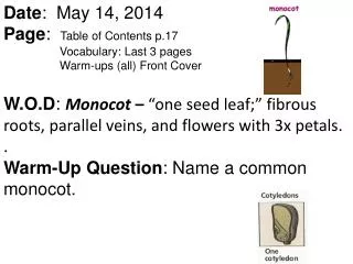 How are cotyledons different between monocots and dicots?