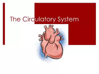 The Circ ulatory System