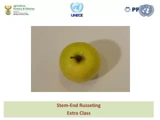 Stem-End Russeting Extra Class