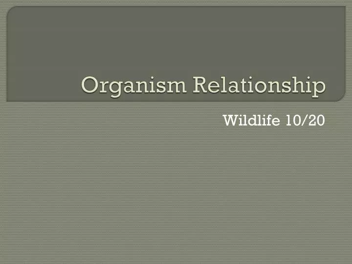organism relationship