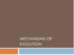 PPT - Mechanisms of Evolution PowerPoint Presentation, free download ...