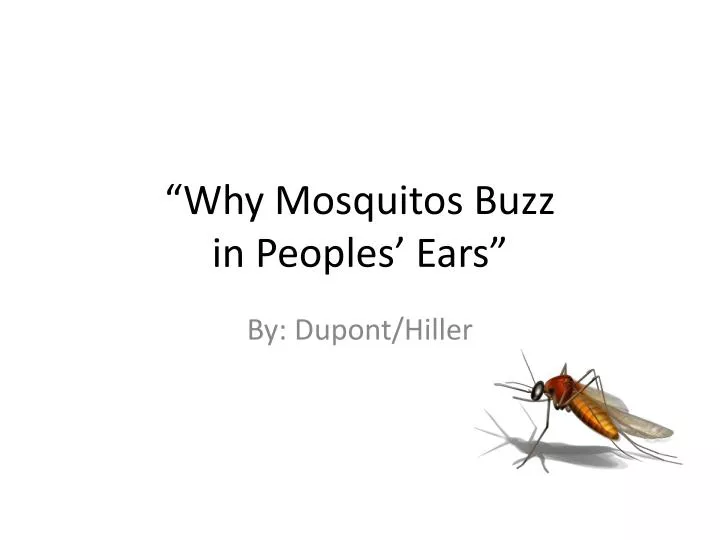 why mosquitos buzz in peoples ears