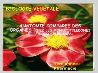 BIOLOGIE VEGETALE