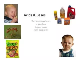acids bases
