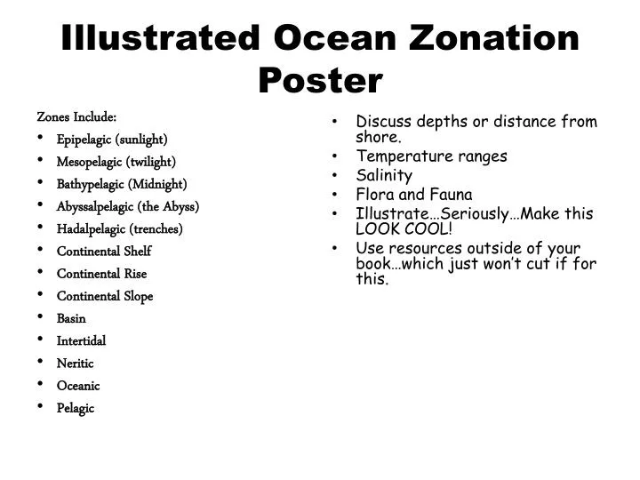 illustrated ocean zonation poster