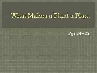 what makes a plant a plant