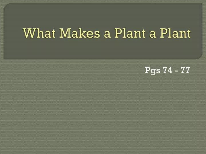 what makes a plant a plant