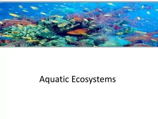 PPT - Aquatic Ecosystems PowerPoint Presentation, Free Download - ID ...