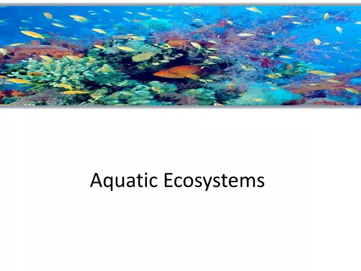 aquatic ecosystems