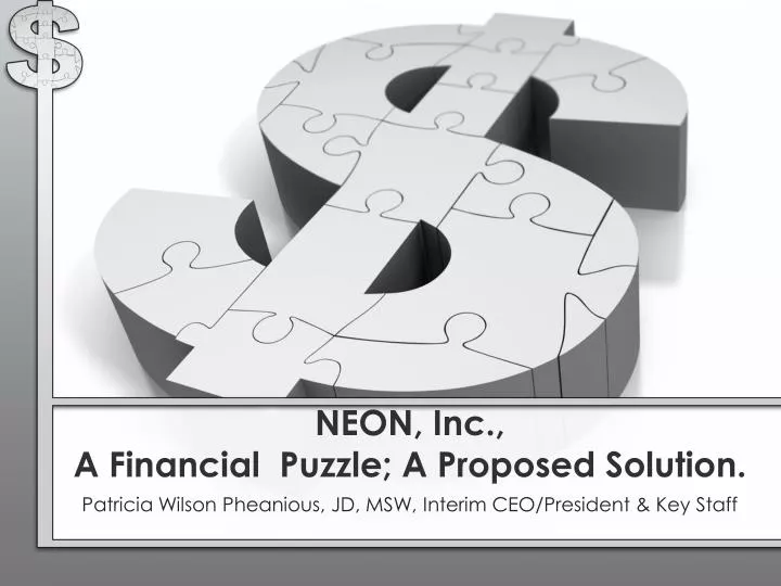 neon inc a financial puzzle a proposed solution