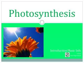 Photosynthesis