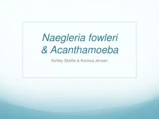 Naegleria fowleri &amp; Acanthamoeba