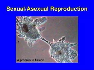 Sexual/Asexual Reproduction