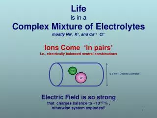 Life is in a Complex Mixture of Electrolytes mostly Na + , K + , and Ca ++ Cl -