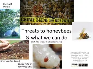 Threats to honeybees &amp; what we can do (draft slides for educators to edit as needed)