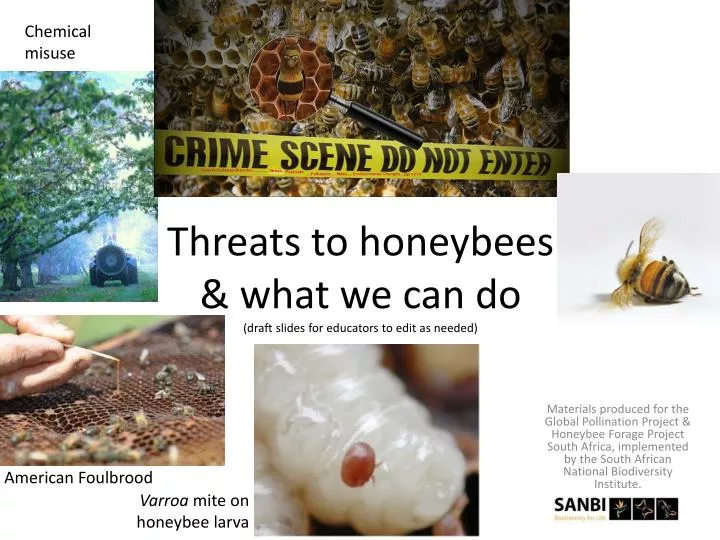 threats to honeybees what we can do draft slides for educators to edit as needed