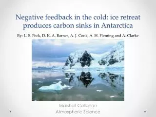 Negative feedback in the cold: ice retreat produces carbon sinks in Antarctica