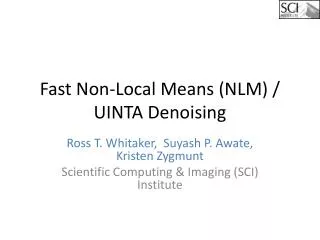 Fast Non-Local Means (NLM) / UINTA Denoising