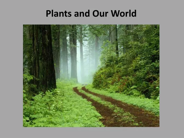 plants and our world