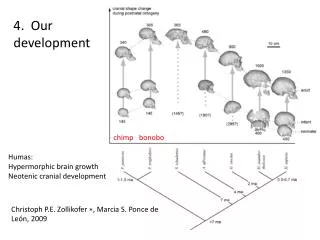 4. Our development