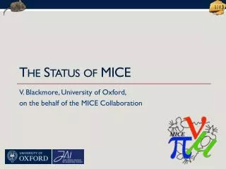 The Status of MICE
