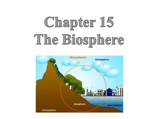 Chapter 15 The Biosphere