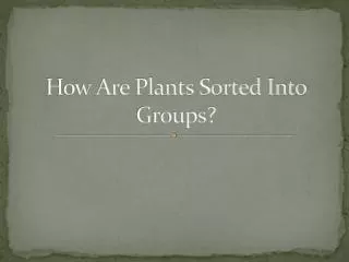 How Are Plants Sorted Into Groups?