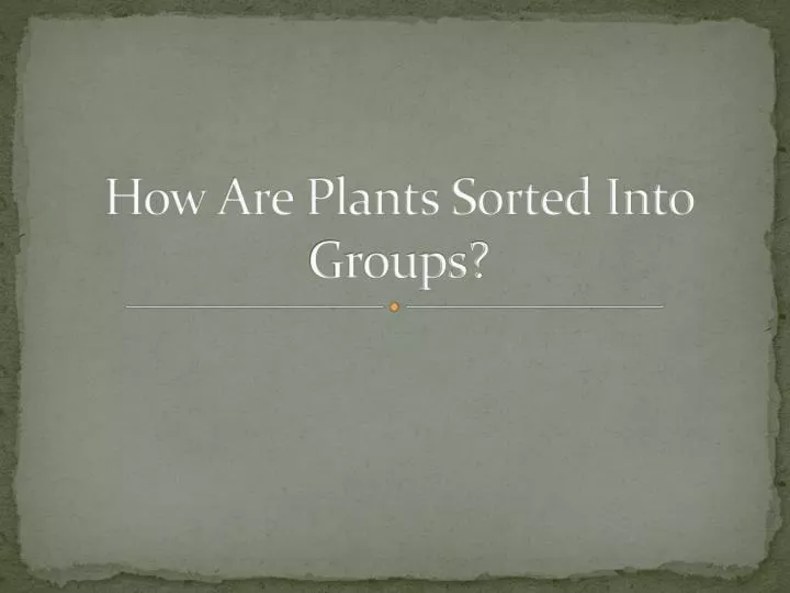 how are plants sorted into groups