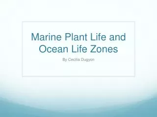 Marine Plant Life and Ocean Life Zones