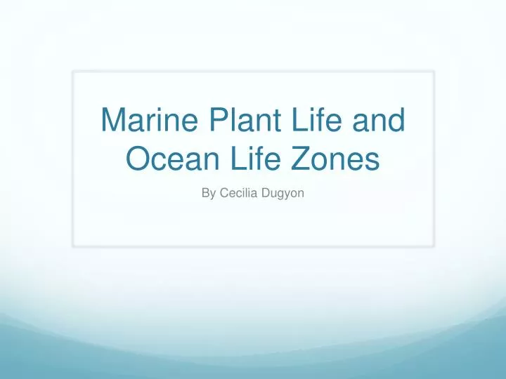 marine plant life and ocean life zones